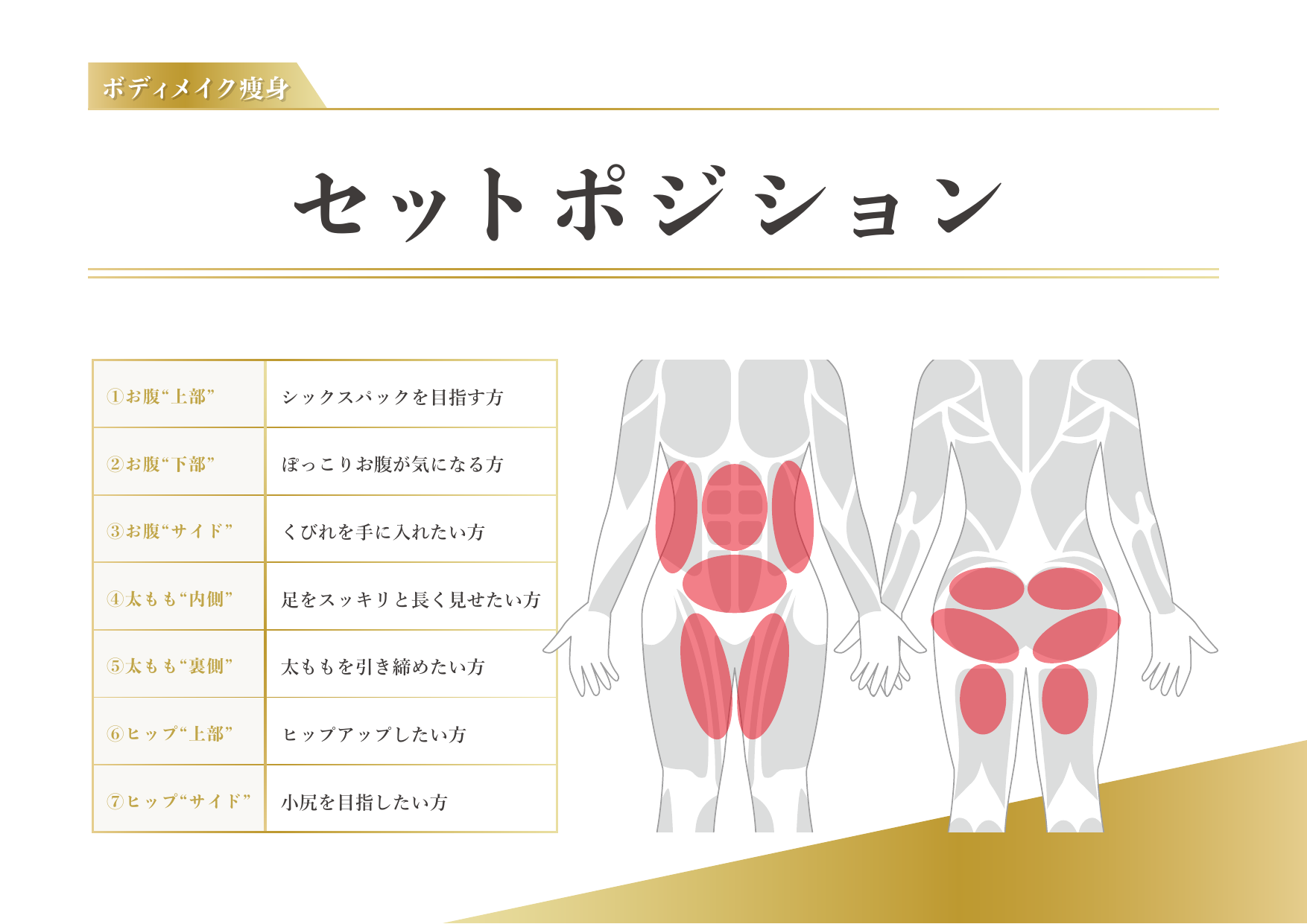 セットポジション 対応部位図